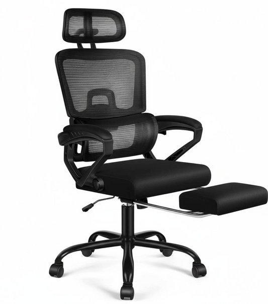 ErgoPro IV (With Footrest)