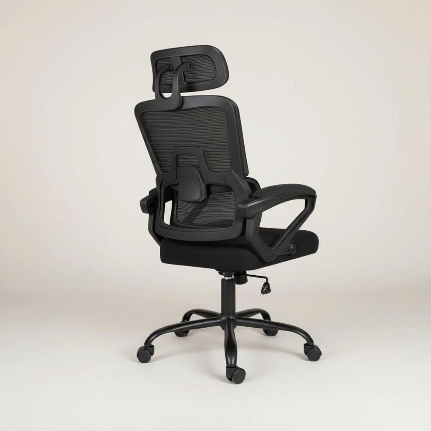 ErgoPro IV (With Footrest)