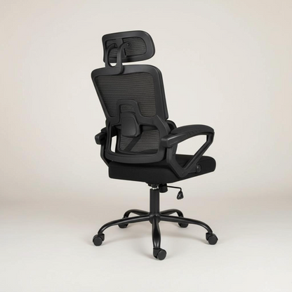 ErgoPro IV (With Footrest)